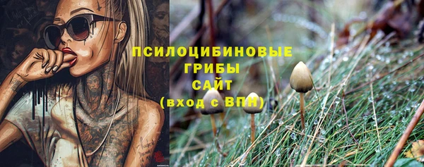дживик Алексеевка