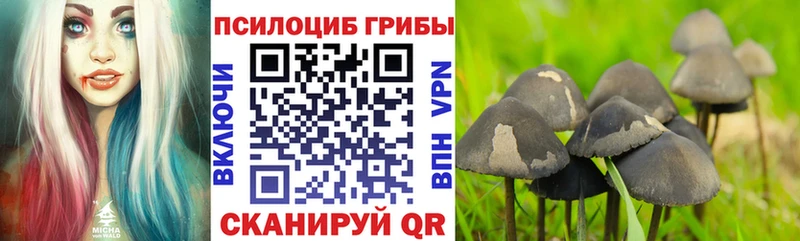 даркнет официальный сайт  Ухта  Галлюциногенные грибы ЛСД 